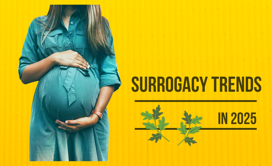 evolving trends in surrogacy legal agreements