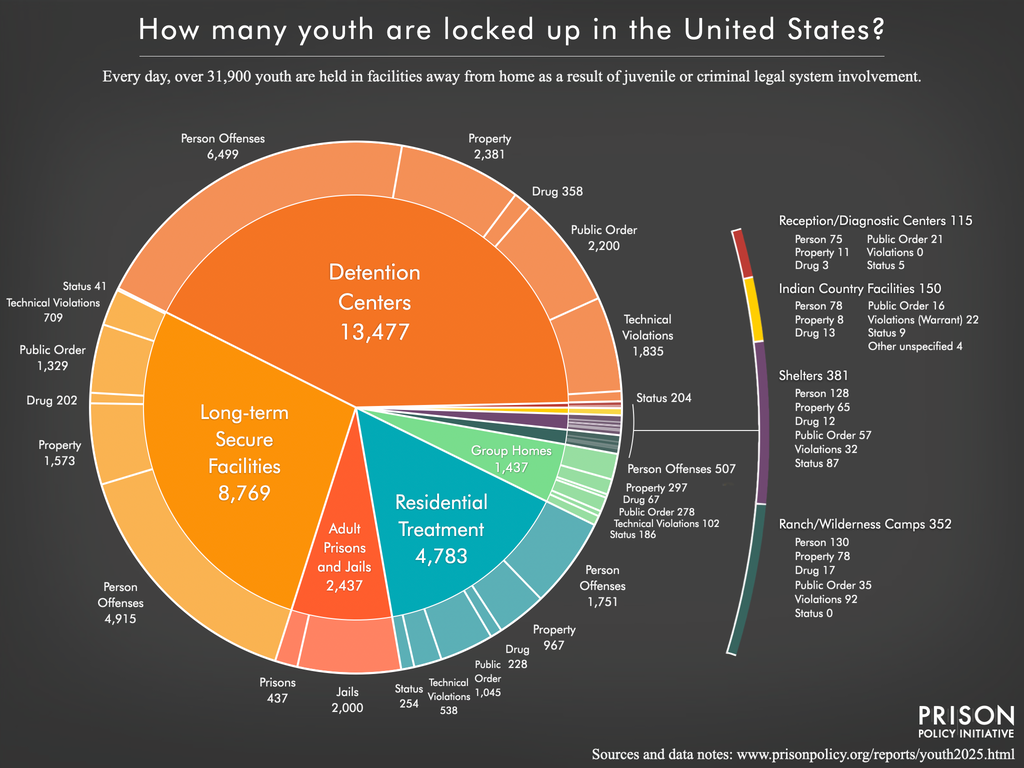 expert insights on juvenile offenses