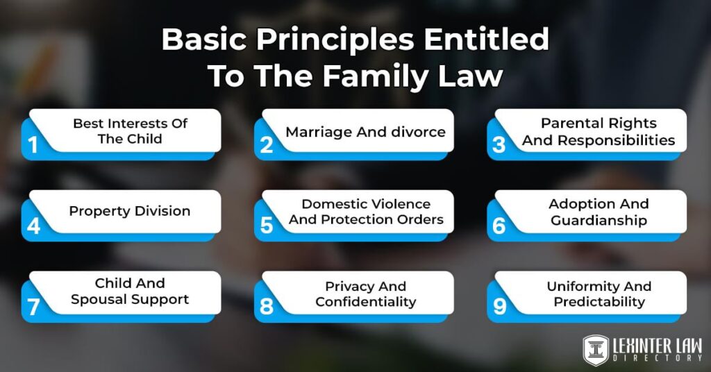 fundamental principles of family court proceedings