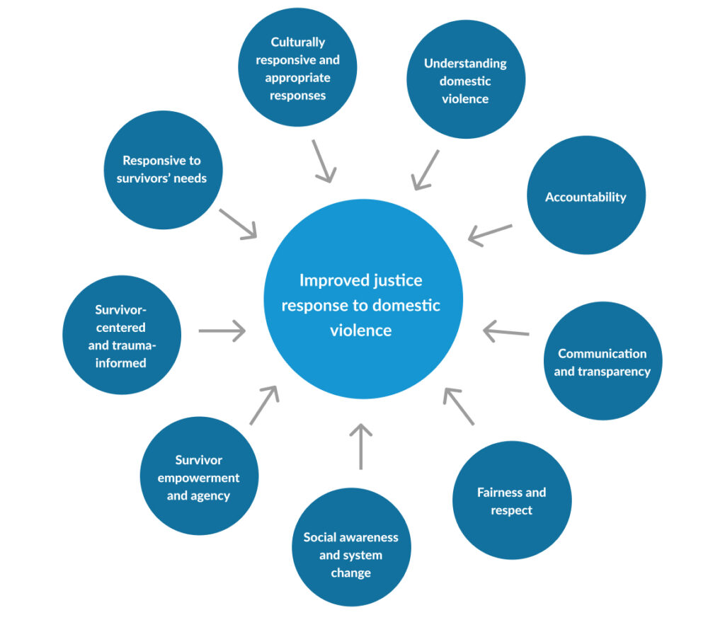 practical solutions for domestic violence cases